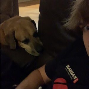 Meet your Posher, Ronan